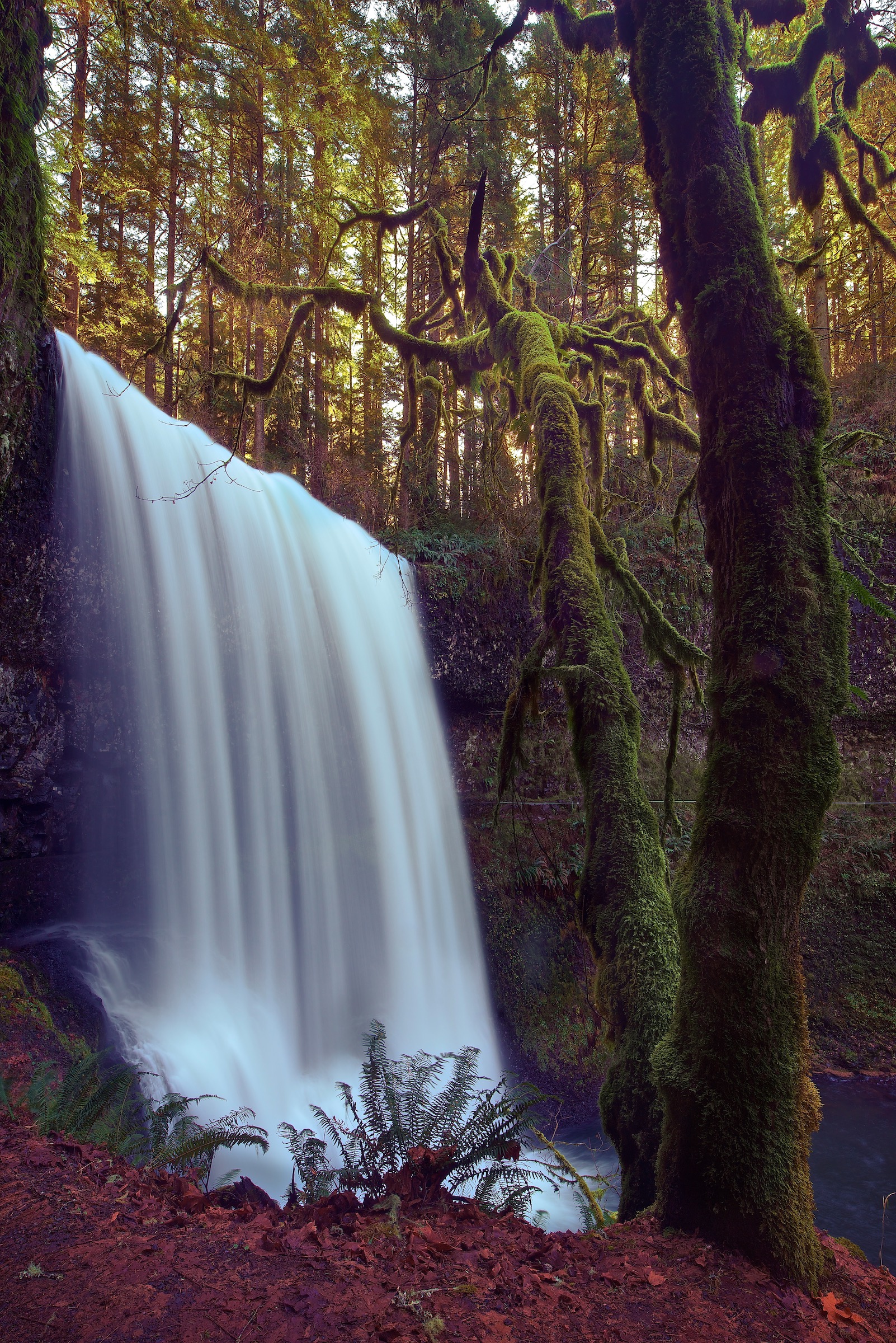 Water Is Life - 22 of 29